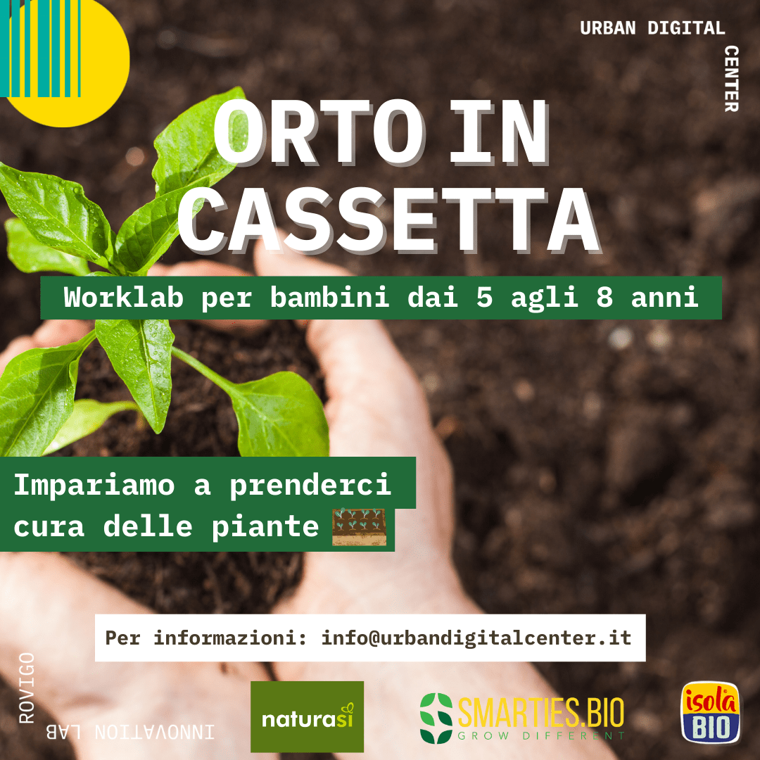 22Orto in Cassetta 25.06 3-min