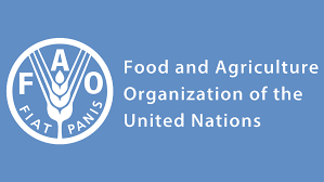 FAO 2020