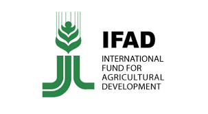 IFAD