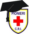 PIO 20