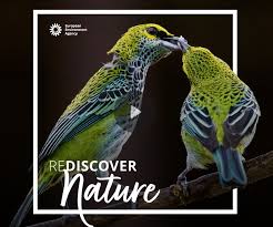 REDISCOVER 20