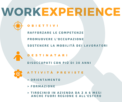 WORK EXPERIENCE 21 rif