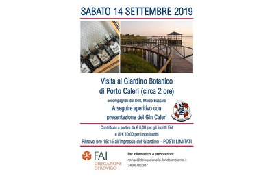 fai 14 19
