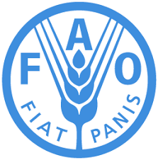 fao 20