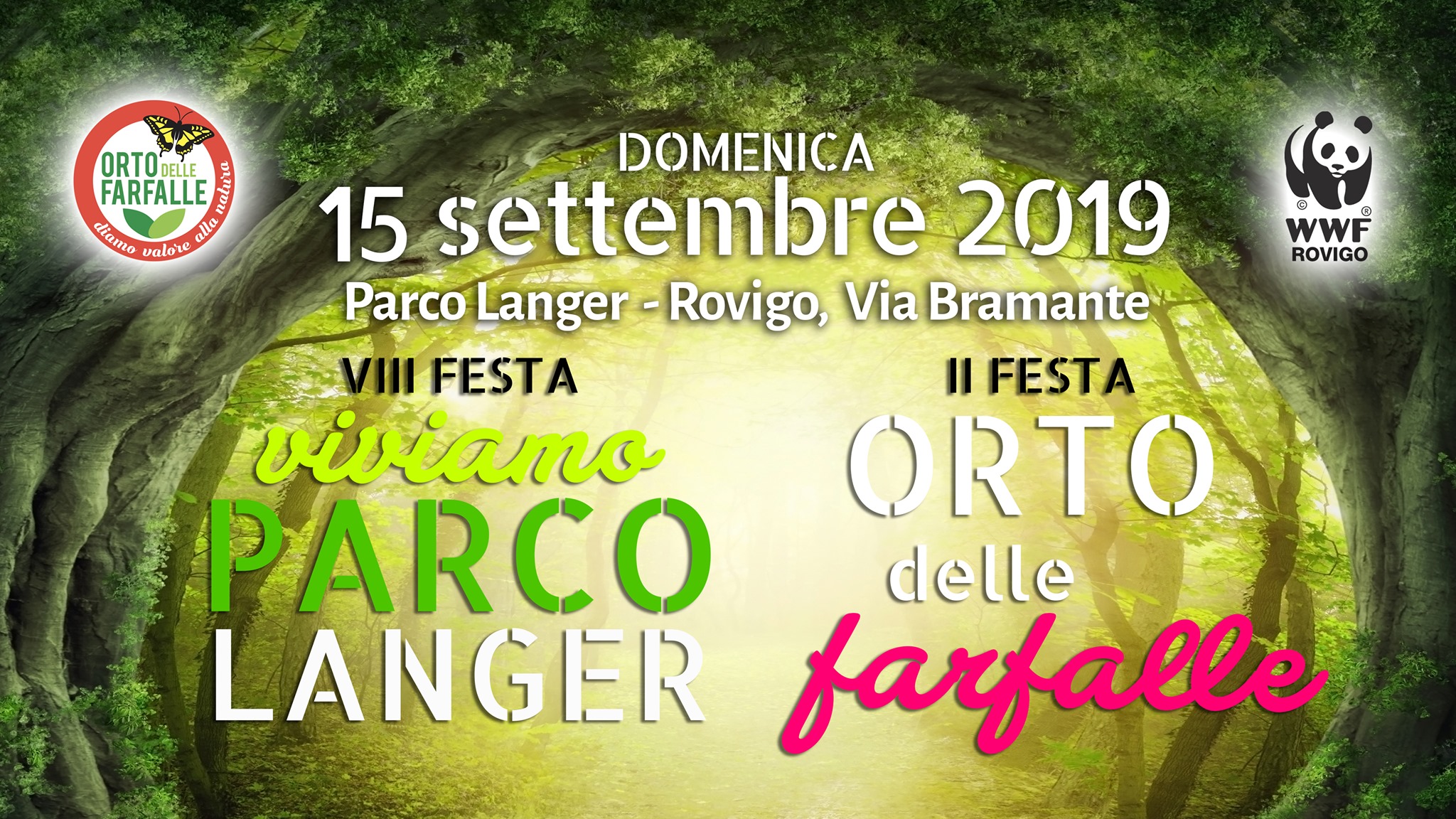 farfalle 19