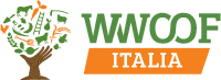 italia logo 20