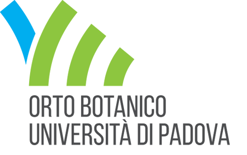 orto-botanico-unipd 19