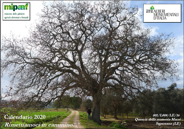 quercia