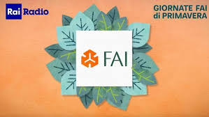 rai fai 19