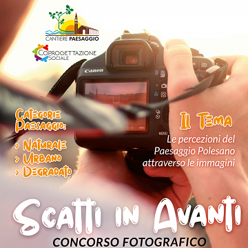 scatti 2020