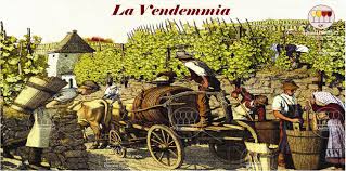 vendemmia 21